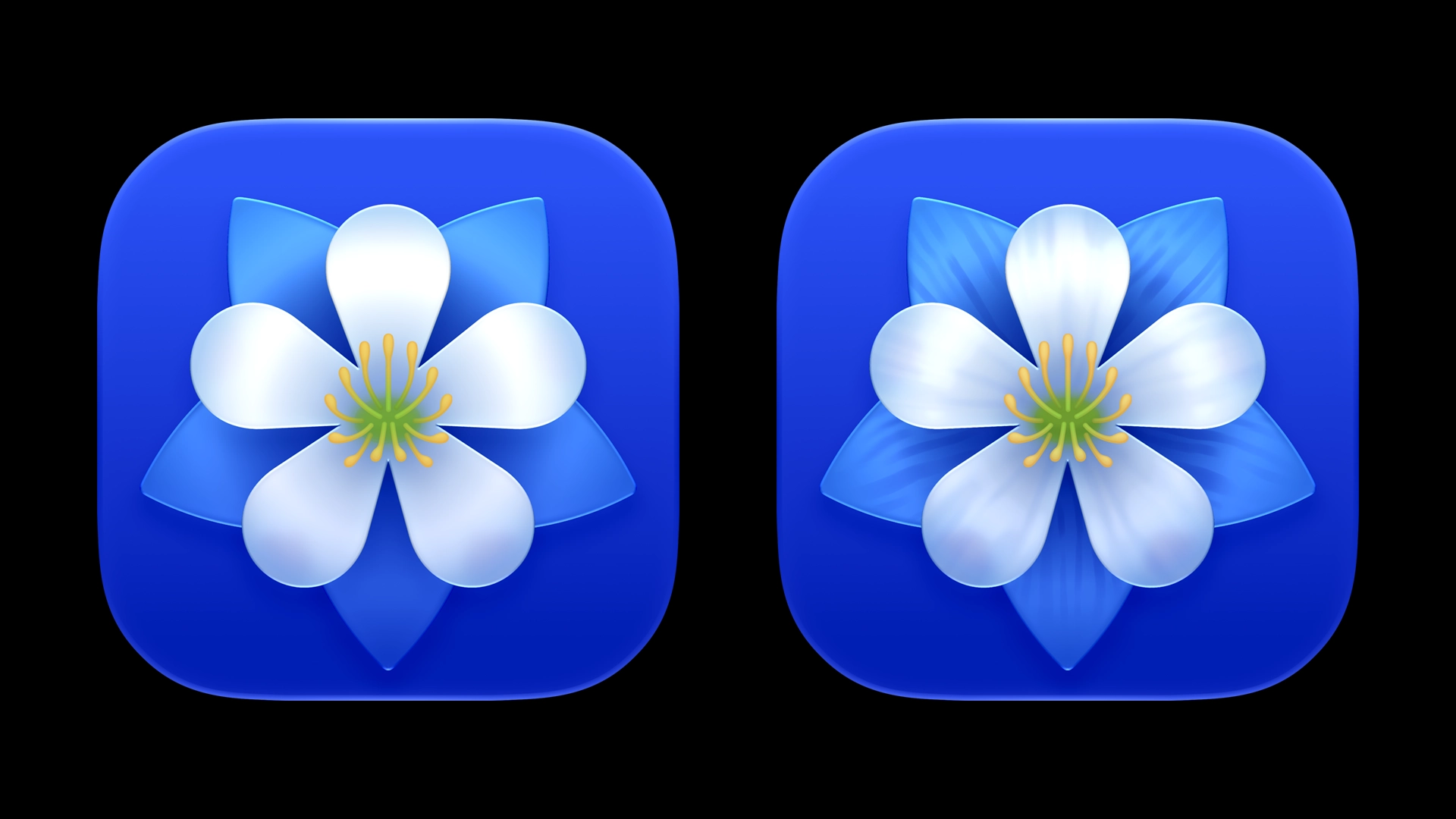 A multi-layered floral icon with radial gradients, and an alternate with subtle texture added.
